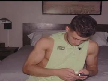 thelincolngrey Image 16