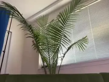 therealveggieboy Image 2