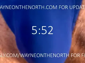 waynenorth Image 11