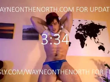 waynenorth Image 15