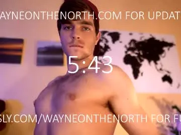 waynenorth Image 19