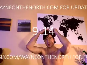 waynenorth Image 2