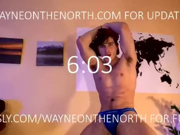 waynenorth Image 5