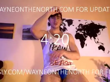 waynenorth Image 7