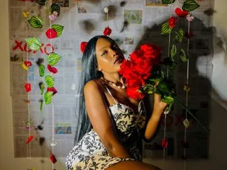 CrystalBrookeCol Profile Image