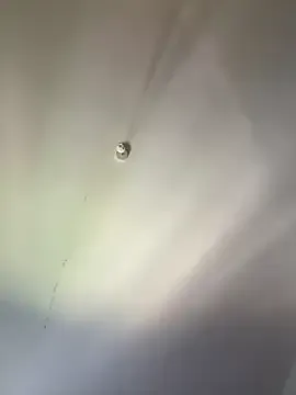 blissdimicco Image 1