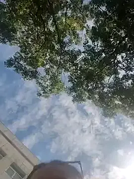 Brilliant-Queen1 Image 9