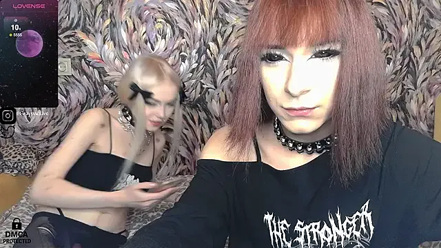 GraypacLive Image 4