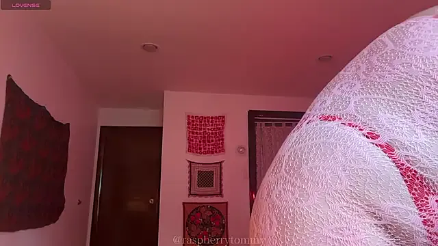 RaspberryTommyFTM Image 6