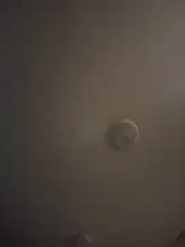 Realwetpussy Image 1