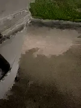 RiskySlut Image 10