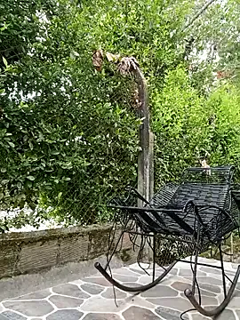 sebasxx97 Image 10