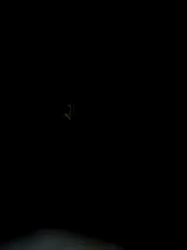 shiro_3 Image 11